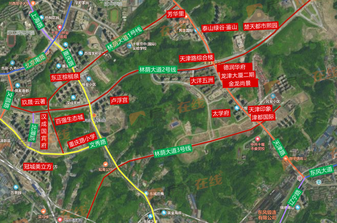 好消息林荫大道三号线此路段通车