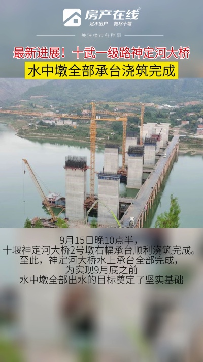 十武一级路神定河大桥水中墩全部承台浇筑完成
