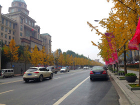 东正国际三期北京北路交通