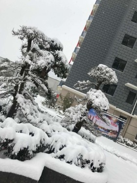 祥安玫瑰苑雪景