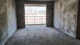 天津路 民生国际电梯中层 三室两厅毛坯 单价4500诚意出售
